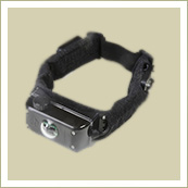 Proto el Switch
